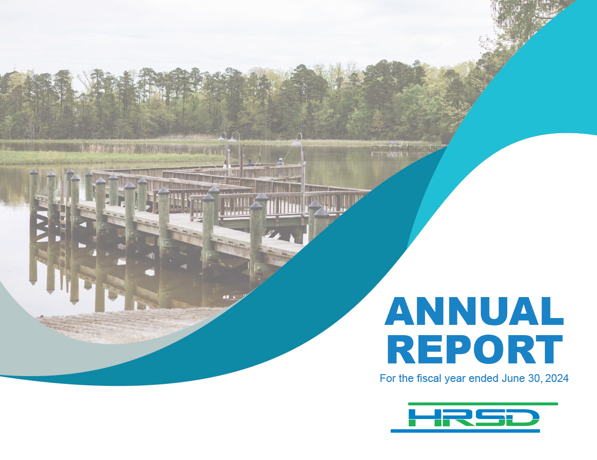  Consumer Annual Report January 2023 - June 2024