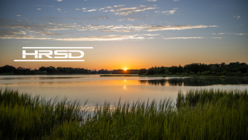 A wetland at sunset