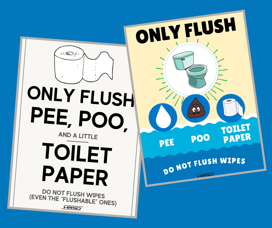 what not to flush poster examples