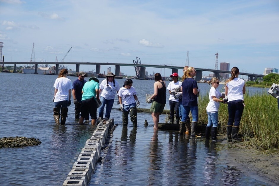 SEA Oyster Restoration