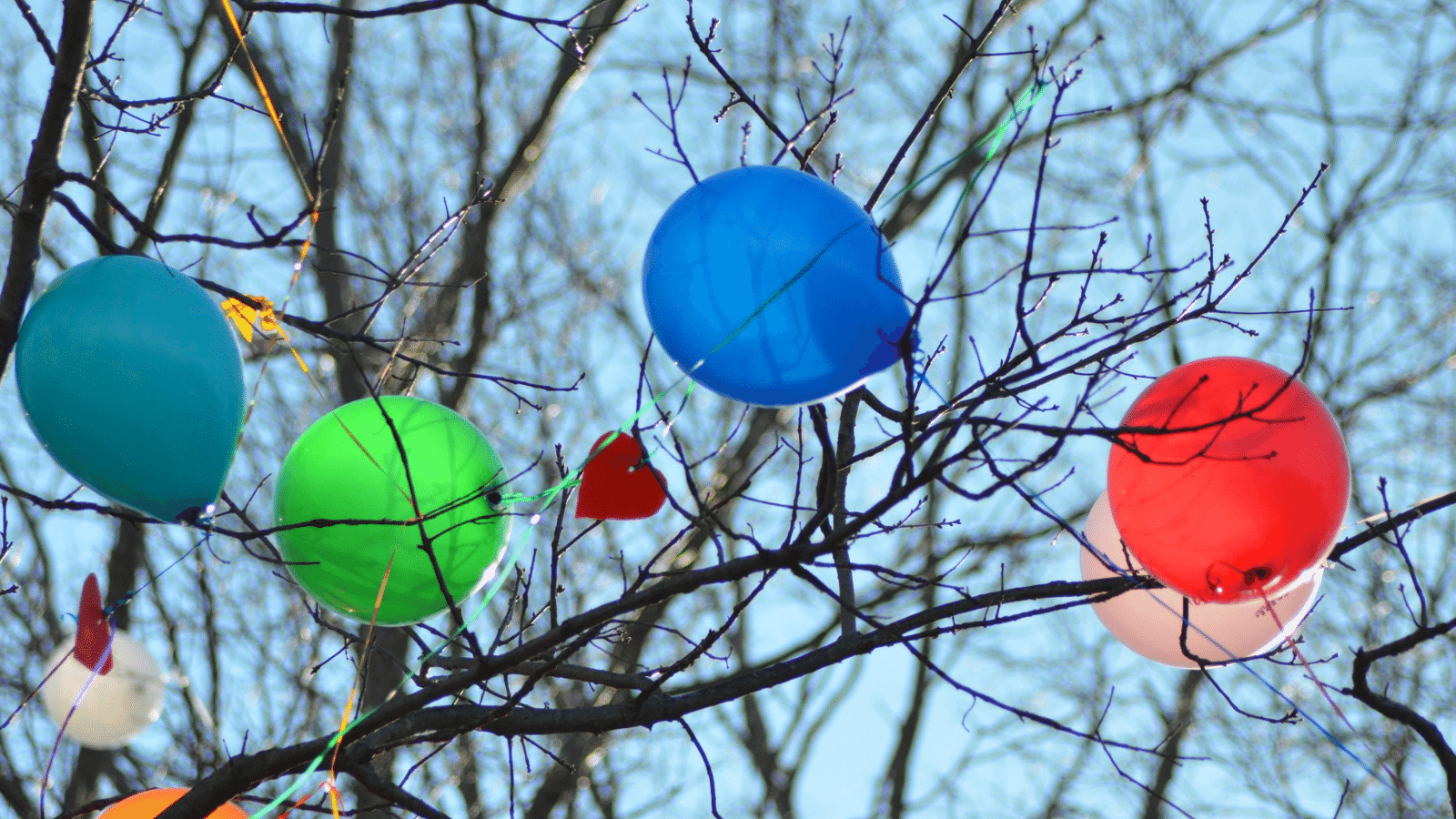 balloons in trees