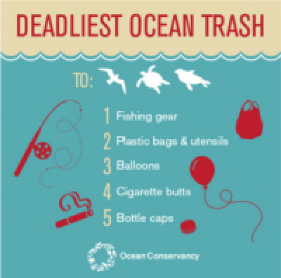 marine litter consequences