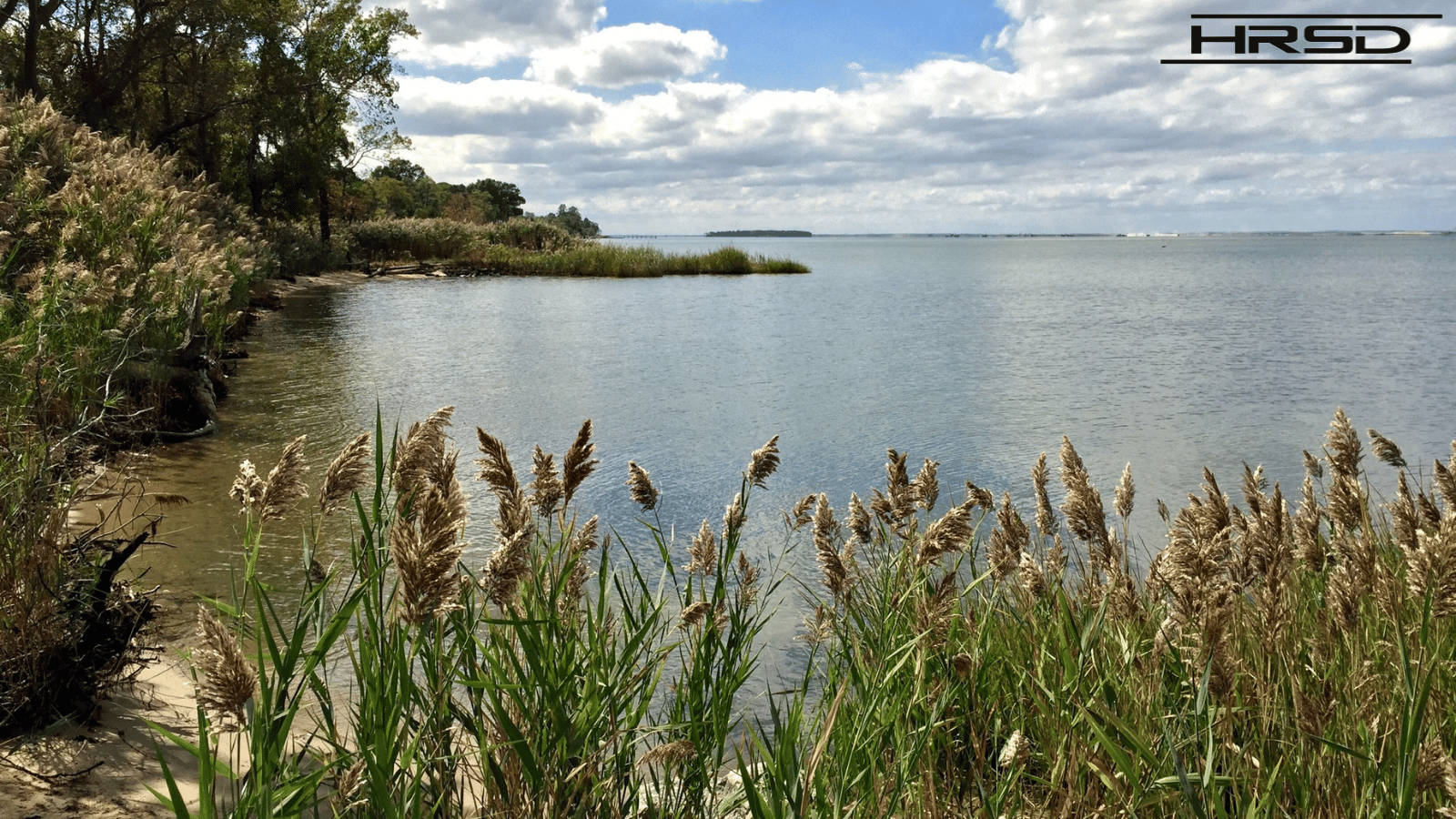 Chesapeake Bay