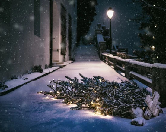 Christmas Tree in Snow