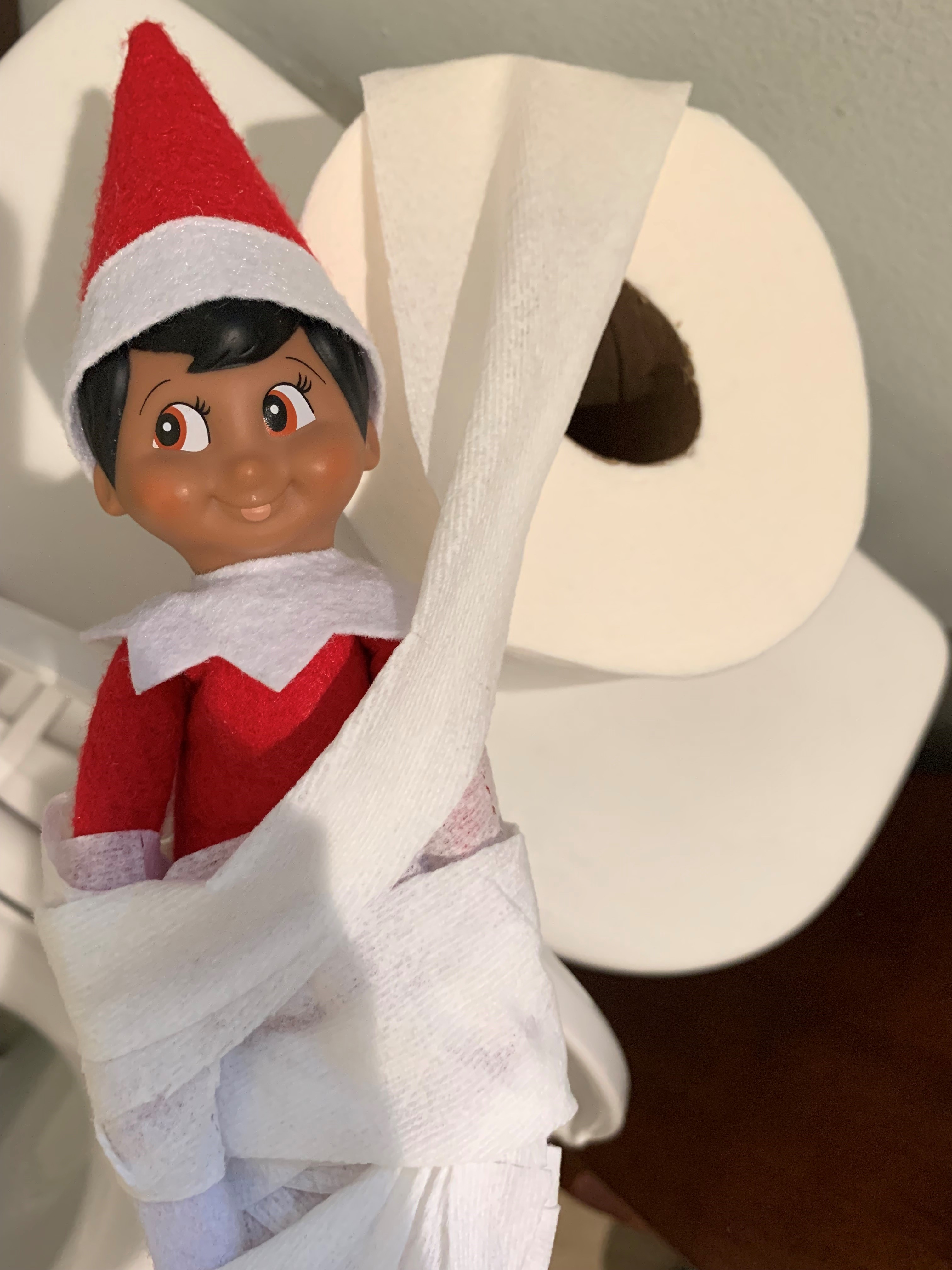 Elf on the Shelf Ideas - toilet paper2