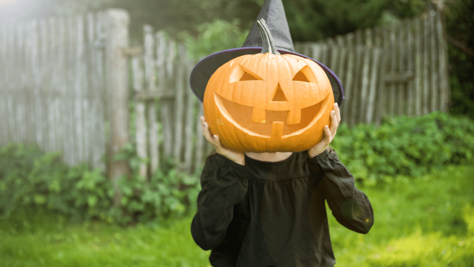 Halloween Pumpkin Face