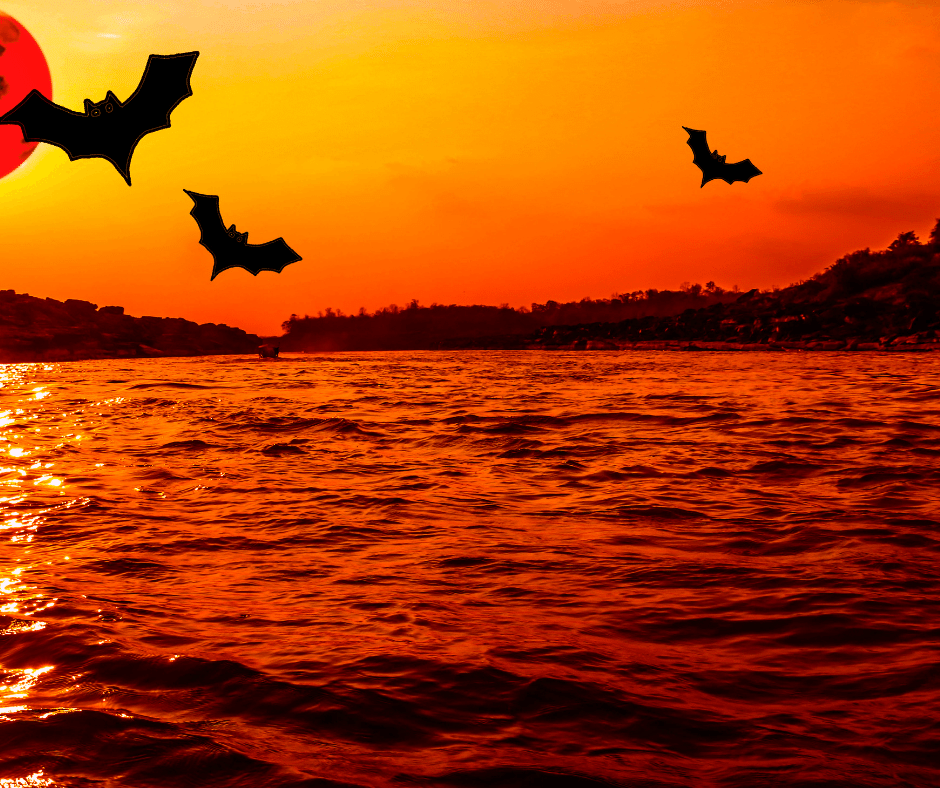 Water and halloween
