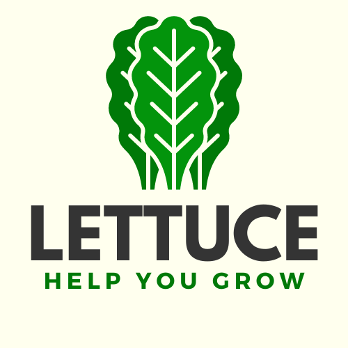 lettuce help you grow
