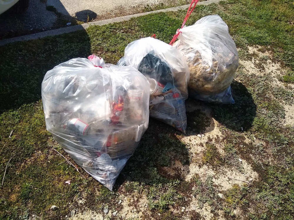 cleanup bags