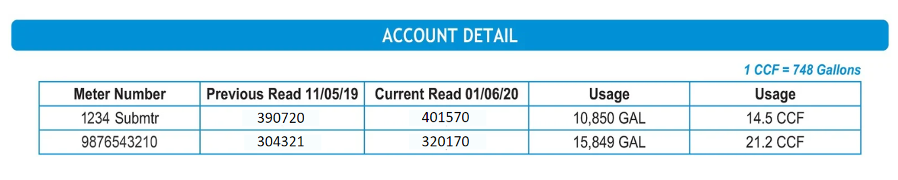 AccountDetailExample_Revised.png