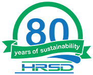 80th Anniversary Logo