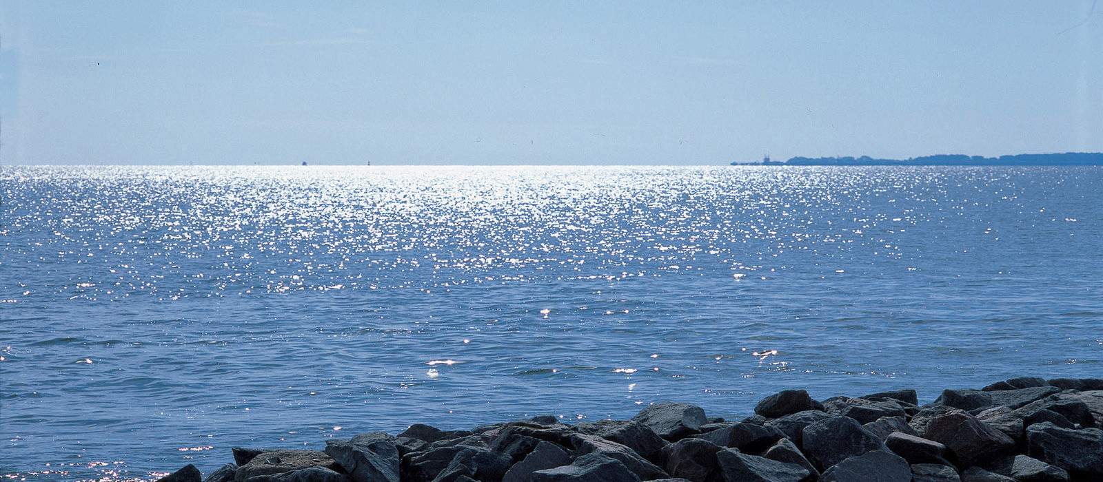 Beach with rocks