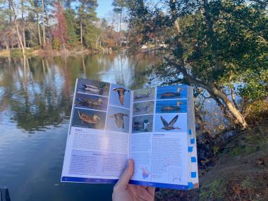 The author holds a bird field guide in front of the lake in his backyard, identifying the ducks in the background.